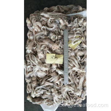 Frozen Squid Tentacle Illex Argentinus 80-100g